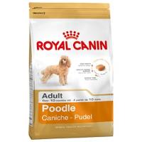 BHN POODLE ADULT 1,5KG