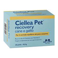 CIELLEA PET RECOVERY 60PRL