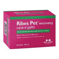 RIBES PET RECOVERY 60PRL